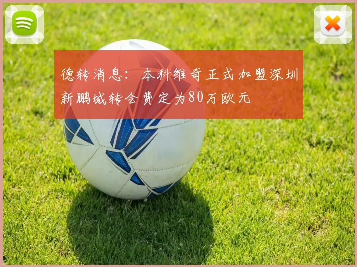 德转消息：本科维奇正式加盟深圳新鹏城转会费定为80万欧元